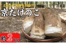 期間限定 京たけのこ 約2kg 2～6本 ( 家庭用向き ) 令和7年産 筍 掘りたて たけのこ 竹の子 京都 国産 新鮮 野菜 ごはん ご飯 家庭用 京野菜 旬 産地直送 お取り寄せ 煮物 
