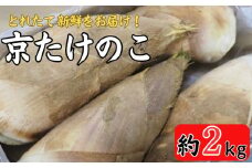 期間限定 京たけのこ 約2kg 2～6本 ( 家庭用・贈答用向き ) 令和7年産 筍 掘りたて たけのこ 竹の子 京都 国産 新鮮 野菜 ごはん ご飯 家庭用 京野菜 旬 産地直送 お取り寄せ 煮物 