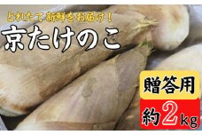 期間限定 京たけのこ 約2kg 2～6本 ( 贈答用向き ) 令和7年産 筍 掘りたて たけのこ 竹の子 京都 国産 新鮮 野菜 ごはん ご飯 家庭用 京野菜 旬 産地直送 お取り寄せ 煮物 贈答用