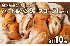 自家培養酵母 ハード系パン 9種 + スコーン 1種 セット ( オーガニック パン 惣菜パン 冷凍パン 無添加 天然酵母 冷凍 詰め合わせ 小麦 朝食 朝ごはん お取り寄せ 食べ比べ 京都 国産 木津川市 Boulangerie Faveur ) 