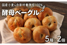 酵母ベーグルセット 10個(5種×2個) 自家培養酵母100％ ＆ 国産小麦 ( パン ベーグル 国産小麦 惣菜パン 冷凍パン 無添加 天然酵母 冷凍 詰め合わせ 小麦 朝食 朝ごはん お取り寄せ 食べ比べ 京都 国産 ) 