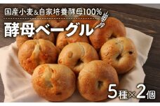 【自家培養酵母】酵母ベーグルセット 10個(5種×2個) 国産小麦 パン ベーグル 国産小麦 惣菜パン 冷凍パン 天然酵母 冷凍 詰め合わせ 小麦 朝食 朝ごはん お取り寄せ 食べ比べ 京都 国産 