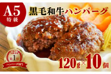 訳あり 国産 A5 黒毛和牛 手ごね ハンバーグ120g×10個 小分け 個包装 冷凍 牛肉 お弁当 高級 ギフト 人気 ワケアリ 贈答用 ジューシー 美味しい おすすめ レシピ 簡単 焼き方