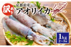 【京都府産 アオリイカ】約1kg 2～3杯（訳あり イカ いか 国産 烏賊 冷凍 海鮮 地物 イカ刺身 さしみ 刺身 刺し身 刺身用 天ぷら 煮付け 塩焼き イカ丼 焼きイカ イカリング イカフライ イカ天 いかめし イカめし おつまみ 魚介類 魚介 魚 和食 1万円 一万円 10000円 1万 あおりいか わけあり 訳アリ 舞鶴 京都）