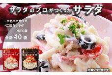 サラダのプロがつくった サラダ 2種類 セット 40袋 マカロニサラダ 金ごまごぼうサラダ マカロニ 金ごま ごぼうサラダ ごぼう ごま 個包装 レトルト パウチ 小分け お弁当 弁当 ご飯 おかず サラダ 食べ切り ケンコーマヨネーズ 惣菜 弁当 サンドイッチ サンドウィッチ グラタン 京都 舞鶴
