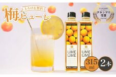 京都丹波 無添加 完熟梅ピューレ UMEUME 2本セット 315ml×2本 （5倍希釈 フルーツ 果物 梅ソーダ 完熟梅 ジュース 梅ジュース 梅肉エキス 梅シロップ 果肉 常温 炭酸水 炭酸割 瓶 贈り物 ギフト プレゼント ヨーグルト 割材 炭酸割 お酒 焼酎 カクテル 京都府 京丹波 )