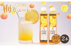 京都丹波 無添加 完熟梅 × 柚子梅ピューレ YUZUUME 2本セット 315ml×2本 ( 5倍希釈 フルーツ 果物 梅 うめ 柚子 ゆず 柑橘 ジュース シロップ 贈り物 割材 炭酸割 お酒割 焼酎 ヨーグルト カクテル 京都府 丹波 完熟梅 果肉 )