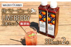 梅ベリーピューレ UMEBERRY 2本セット 315ml×2本 無添加 5倍希釈 フルーツ 果物 梅 うめ 完熟梅 ブルーベリー ジュース シロップ 贈り物 割材 炭酸割 お酒割 焼酎 ヨーグルト 牛乳 カクテル 京都府 京丹波 