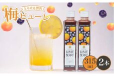 梅ベリーピューレ UMEBERRY 2本セット 315ml×2本 ( 無添加 5倍希釈 フルーツ 果物 梅 うめ 完熟梅 ブルーベリー ジュース シロップ 贈り物 割材 炭酸割 お酒割 焼酎 ヨーグルト 牛乳 カクテル 京都府 京丹波 )