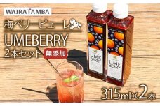 梅ベリーピューレ UMEBERRY 2本セット 315ml×2本 ( 無添加 5倍希釈 フルーツ 果物 梅 うめ 完熟梅 ブルーベリー ジュース シロップ 贈り物 割材 炭酸割 お酒割 焼酎 ヨーグルト 牛乳 カクテル 京都府 京丹波 )