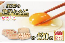 【12カ月定期便】奥京都の撫子たまご 40個×12ヶ月(割れ保証10個) MS～LLサイズ（ピンク卵 定期便 たまご 新鮮卵 たまごセット 卵定期便 福知山市 たまご定期便 卵 定期便 12回 卵 定期便 12か月 定期便 12ヶ月たまご 定期便 玉子 定期便】