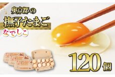 奥京都の撫子たまご 120個入(110個＋割れ保証10個) MS～LLサイズ ピンク卵 卵 たまご 玉子 生卵 鶏卵 卵かけご飯 贈呈用  濃い セット 玉子焼き 卵焼き ゆで卵 卵黄  ふるさと納税卵 ふるさと納税たまご ふるさと納税玉子 日用品 消耗品 オムレツ 卵かけご飯 たまご焼き