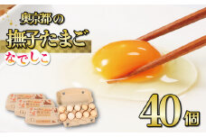奥京都の撫子たまご 40個入(30個＋割れ保証10個) 三和鶏園 MS～LLサイズ ピンク卵 卵 たまご 玉子 生卵 鶏卵 卵かけご飯 贈呈用  濃い セット 玉子焼き 卵焼き ゆで卵 卵黄  ふるさと納税卵 ふるさと納税たまご ふるさと納税玉子 日用品 消耗品 オムレツ 卵かけご飯 たまご焼き