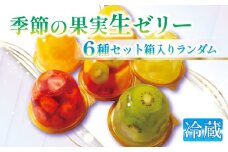 フルーツたっぷり果実生ゼリー 詰め合わせ セット ランダム 6種 化粧箱 入り 高級 デザート スイーツ お取り寄せ ご褒美 贅沢 ゼリー 贈答 プレミアム ギフト お歳暮 御歳暮 化粧箱 プレゼント 旬の果物 たっぷり 果実 ふるさと納税 ふるさと納税フルーツ フルーツゼリー ふるさと納税ゼリー フルーツパーラー 千馬Miyabi 京都府 城陽市