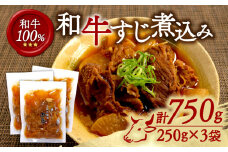 和牛すじ煮込み 3袋セット 750g (250g×3袋) 和牛 すじ煮込み すじ 冷凍 小分け 肉 牛 牛肉 ごはんのお供 個包装 ふるさと納税 おかず おつまみ 晩酌 煮物 木津川市 京都