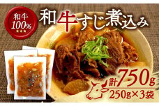 和牛すじ煮込み 3袋 計750g (250g×3袋) 和牛 すじ煮込み すじ 冷凍 小分け 肉 牛 牛肉 ごはんのお供 個包装 ふるさと納税 おかず おつまみ 晩酌 煮物 木津川市 京都