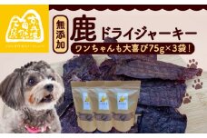 鹿ドライジャーキー3袋セット （ペットフード ドッグフード ジャーキー セット 無添加 滋養強壮 国産 ジビエ 健康 栄養 鹿 鹿肉 わんちゃん 小分け 個包装 ペット用品 薄作り 犬用 ご褒美 ごはん おやつ 小型 大型 犬 イヌ いぬ 京都府 京丹波町）