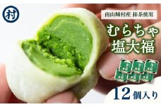 むらちゃ塩大福 12個入り 抹茶 天然塩 塩大福 大福 抹茶餡 抹茶あん 和菓子 冷凍 濃厚 抹茶スイーツ 抹茶デザート 宇治抹茶 お茶 お茶請け 甘味 お菓子 ご褒美 贅沢 お取り寄せ 南山城村 京都府
