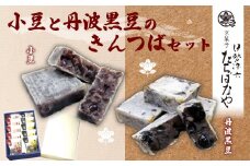 小豆と丹波黒豆の金つば 10個 セット あずき 丹波黒豆 化粧箱 ふるさと納税 きんつば 金つば 小豆 小豆金つば 黒豆 黒豆金つば 和菓子 お菓子 おつまみ お取り寄せ 詰め合わせ 京都府 福知山市
