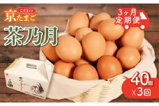 【3ヶ月定期便】京たまご 茶乃月 40個 ( 定期便 京たまご 茶乃月 40個 × 3ヶ月 こだわり たまご 卵 濃い 玉子 セット 玉子焼き 卵焼き たまごかけご飯 卵かけご飯 ゆで卵 鶏卵 卵黄 京都 国産 産みたて )
