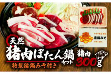 京都 天然鹿肉のぼたん鍋 セット 特製味噌つき 猪肉300g 2～3人前 (ジビエ ぼたん鍋 猪鍋 猪肉 猪鍋 獅子 山鯨 やまくじら いのしし肉 イノシシ肉 しし肉 いのしし 鍋 天然  京都 和束町 味噌 鍋セット セット ジビエ料理 肉  お取り寄せ キザキ食品 )
