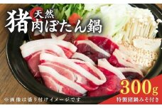 京都 天然猪肉 ぼたん鍋セット 2～3人前 ( 特製味噌つき 猪肉300g ) ジビエ ぼたん鍋 猪鍋 猪肉 猪鍋 獅子 山鯨 やまくじら いのしし肉 イノシシ肉 しし肉 鍋 天然  京都 和束町 味噌 鍋セット セット ジビエ料理 肉 お取り寄せ キザキ食品 京都府