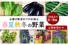 定期便 4回 京都 野菜 6～8種 年4回 旬  京野菜 春 夏 秋 冬 なす とうもろこし トマト ねぎ ごぼう 水菜 鍋 サラダ おかず 京都府 人気 おまかせ 詰め合わせ セット  京印京都南部青果 市場