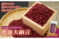 こもいけ大納言あずき200g あずき 200g 豆 小豆 あずき 幻の小豆 希少 国産 伊根町 京都府 薦池大納言 薦池 大納言 希少 