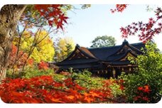 神職様のご案内による北野天満宮境内文化財見学と錦秋のもみじ苑特別観覧   ※寄附金は文化財保護に使途を限定しています。