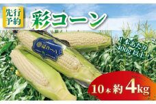 【2026年6月～7月発送】 彩コーン 約4kg 10本 ホワイトコーン とうもろこし 白いとうもろこし コーン スイートコーン 朝食 昼食 夕食 デザート 甘い スイーツ おやつ 糖度 野菜 産地直送 人気 おすすめ 京都 八幡 ふるさと農園