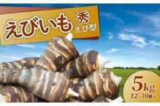 京都 えびいも 秀 えび型 5kg  京野菜 伝統 野菜 12-30個入 お正月 京料理 いも おばんざい さといも 煮物 あんかけ 素焼き 椀だね