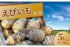京都 えびいも 丸型 5kg 京野菜 伝統 野菜 12-30個入 お正月 京料理 いも おばんざい さといも 煮物 あんかけ 素焼き 椀だね