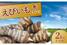 京都 えびいも 秀 えび型 2kg  京野菜 伝統 野菜 5-15個入 お正月 京料理 いも おばんざい さといも 煮物 あんかけ 素焼き 椀だね