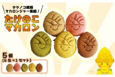 タケノコ戦隊マカロンジャー 5色 1箱 化粧箱入り デザート スイーツ 焼き菓子 マカロン たけのこ タケノコ たけのこマカロン ご当地 京都 長岡京 長岡京市