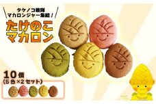 タケノコ戦隊マカロンジャー マカロン 5色 2箱 化粧箱入り デザート スイーツ 焼き菓子 たけのこ タケノコ たけのこマカロン ご当地 京都 長岡京 長岡京市