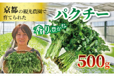 期間限定 パクチー500g パクチー ハーブ 500g 100g × 5袋 小分け 5パック 久御山町 京都 冷蔵