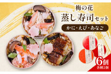 蒸し寿司セット 6個(各種2個) かに えび あなご ( 蟹 海老 穴子 寿司 すし 蒸し寿司 たまご 湯葉 佃煮 セット 詰め合わせ 食べ比べ まろやか 井手町 京都 梅の花 ）