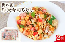 ちらし寿司 2袋 ( ちらし 寿司 海老 梅の花 サーモン たまご  筍 人参 椎茸 おぼろ 和食 海鮮 冷凍 井手町 京都府 10000円 1万円 ）