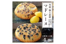 丹波極上マドレーヌ 4個 丹波極上マドレーヌ 丹波黒豆 2個 大納言小豆 2個 ギフト プレゼント熨斗 贈答 熨斗 御歳暮 お歳暮 ギフト 焼き菓子 高級 マドレーヌ まどれーぬ 黒豆 小豆 栗 和風