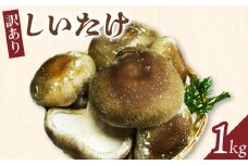 【訳あり】しいたけ 1kg 椎茸 新鮮  きのこ キノコ 茸 美味しい おいしい 訳あり わけあり ワケアリ 生椎茸 生しいたけ 京田辺市 京都 京都村康
