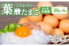 【定期便】 葉酸たまご 20個 (割れ保証2個含む) 6回 定期便 定期 京都 こだわり卵 ( 卵 たまご 濃い こだわり 玉子 セット 玉子焼き 卵焼き 毎月 6か月 6ヶ月 卵かけご飯 ゆで卵 鶏卵 卵黄 葉酸 栄養 贈答 お歳暮 お中元 ギフト ビタミン アミノ酸 たんぱく質 34000円 まとめ買い 京都 京丹波町 みずほファーム)