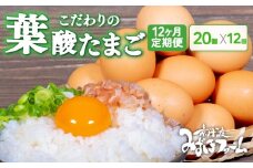 【定期便】 葉酸たまご 20個 (割れ保証2個含む) 12回 定期便 定期 京都 こだわり卵 ( 卵 たまご 濃い こだわり 玉子 セット 玉子焼き 卵焼き 毎月 12か月 12ヶ月 卵かけご飯 ゆで卵 鶏卵 卵黄 葉酸 栄養 贈答 お歳暮 お中元 ギフト ビタミン アミノ酸 たんぱく質 68000円 まとめ買い 京都 京丹波町 みずほファーム)