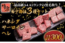 黒毛和牛 希少部位 3種類 セット 計300g ハネシタ サーロイン ヘレ たれ漬け 焼肉 A4ランク A5ランク  牛肉 和牛 牛 肉 お肉 おにく 国産 特製 タレ たれ 冷凍 小分け お弁当 おかず 夕ご飯 家庭 家庭用 惣菜 お惣菜 料理 調理 人気 おすすめ 京都 八幡 老舗 丸中精肉店 牛宗まるなか お正月 年末 年始 新年