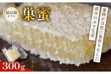 巣蜜(コムハニー) 約300g 巣蜜 コムハニー ハチミツ はちみつ ハニー honey 国産 甘い 甘味 真空パック 数量限定 京都府