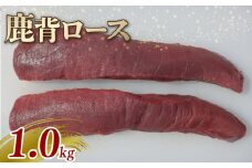 鹿背ロース ブロック 1kg ジビエ 鹿肉 鹿 背ロース ブロック肉 カレー シチュー 煮込み料理 ヘルシー あっさり 食べやすい 美味しい 新鮮 冷凍 京都府