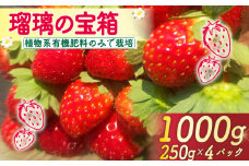 【2026年3月～5月発送】 いちご 1000g 瑠璃の宝箱 250g 4パック 有機JAS 植物系有機肥料のみ イチゴ 苺 オーガニックイチゴ ストロベリー ベリー フルーツ 果物 甘い 国産 ブランド 産地 直送 フレッシュ 人気 おすすめ ふるさと納税 京都 八幡 八幡市 かみむら農園