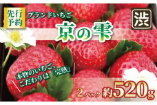 【2025年12月～翌5月発送】 いちご 京の雫 2パック 約520g イチゴ 苺 ストロベリー フルーツ くだもの 果物 ブランド デザート おやつ 甘い 糖度 産地直送 人気 おすすめ 京都 八幡 渋谷農園