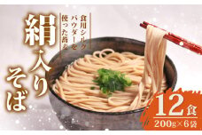 絹入りそば 約12食 200g ×6袋 シルクパウダー シルクのそば そば 蕎麦 乾そば 年越しそば ソバ 麺 麺類 乾麺 シルク 絹 ふるさと納税そば 人気 おすすめ 京都 丹後 与謝野 加悦