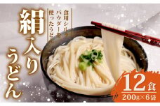 絹入りうどん 約12食 200g ×6袋 シルクパウダー シルクのうどん うどん 麺 麺類 乾麺 シルク 絹 ふるさと納税うどん 人気 おすすめ 京都 丹後 与謝野 加悦