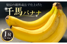 熟成 千馬バナナ 1房 (4~5本) 超熟成法仕立て 果物 バナナ ばなな 朝ご飯 朝食 おやつ 果実 フルーツ デザート スイーツ 甘味 美味しい 千馬Miyabi 城陽市 京都府